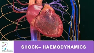 SHOCK– HAEMODYNAMICS