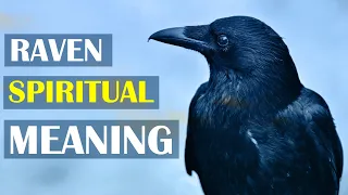 14 Spiritual Meaning of Raven Spirit Animal | Raven Totem Symbolism & Meanings
