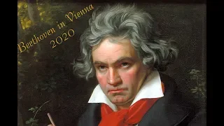 Beethoven in Vienna 2020