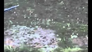 пяти минутный град с дождем сегодня 15,06,2012 пол четвет