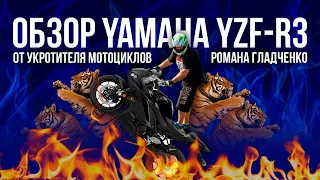 Что реально может Yamaha YZF-R3?