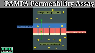 PAMPA Permeability Assay | Permeability Measurement In Caco 2 Cells |