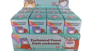 Pusheen Enchanted Forest Series 20 Blind Box FULL CASE Unboxing Review