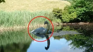 Loch Ness Monster Mystery SOLVED