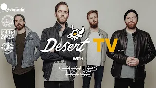 Desert TV: CALIGULA'S HORSE