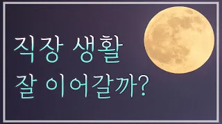 [타로카드] 직장운, 앞으로의 직장 생활