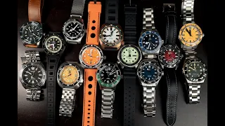 I Can Keep ONLY One Dive Watch