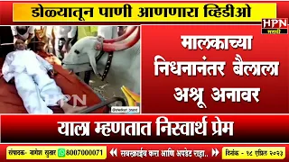 मालकाला अखेरचा निरोप देताना बैलाला अश्रू अनावर... पहा व्हिडिओ | HPN MARATHI NEWS