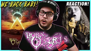 MY GIRLFRIEND TAKES THE LEAD | Born Of Osiris - White Nile | Reaction / Review!