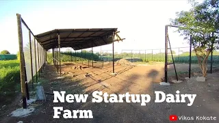 Dairy Farm 🐄 | New startup | How to start dairy farm | Vikas kokate #dairy #dairyfarm #milk