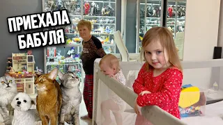 влог: ПРИЕХАЛА БАБУЛЯ! У ВРАЧА С ТАЮШКОЙ! БИЛЛИ И МАРУСЯ ИГРАЮТ ДОМА