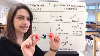 VSEPR Theory