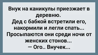 Внук в Деревне Соблазнил Соседку! Сборник Свежих Анекдотов! Юмор!