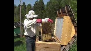 Пчёлы в радость. Часть 1 — Весна (2011)