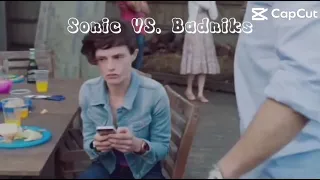 Sonic VS Badniks be like-