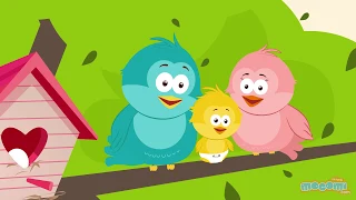 How Do Birds Find Their Way Home? Curious Questions with Answers | Educational Videos by Mocomi Kids