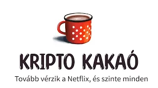 Inkább bukott 400 millió dollárt a befektető, csak kiszállhasson a Netflix-ből