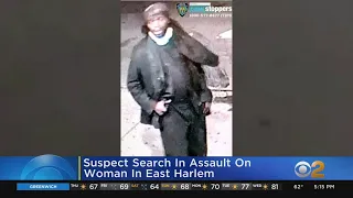 Police Seek Suspect In Assault On Woman In East Harlem