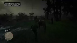 Red Dead Redemption 2--vampire mission