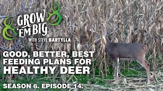 Good, Better, Best Feeding Plans for Healthy Deer