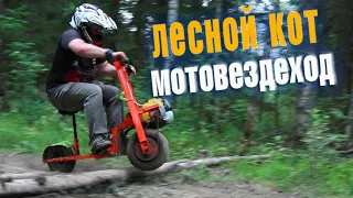 OFFROAD на моторе от ТРИММЕРА? Это реально? Тест драйв экспериментальной разработки "Лесной Кот"!