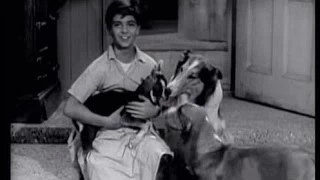 Lassie - Episode 79 - "The Goats" - Season 3, #14 (12/9/1956)