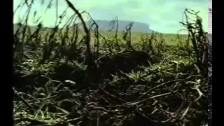 The Great Famine - Part 1 of 2 (BBC 1995)