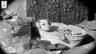 Charlie Chaplin - Love Is Blue ( A dog's Life 1918 )