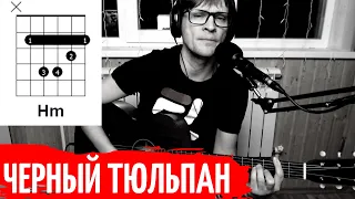 РОЗЕНБАУМ - ЧЕРНЫЙ ТЮЛЬПАН аккорды 🎸 кавер табы как играть на гитаре | pro-gitaru.ru