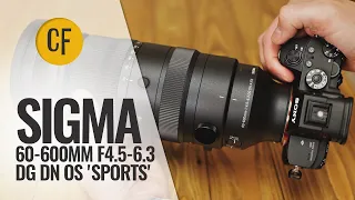 New: Sigma 60-600 DG DN OS 'Sports' lens review (Full-frame & APS-C)