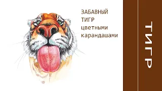 ЗАБАВНЫЙ Тигр | Тигр цветными карандашами | Мастер-класс для начинающих