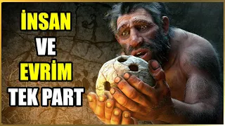 Origin of Man: An Evolutionary Journey Documentary | ONE PIECE