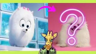 THE SECRET LIFE OF PETS In Real Life 2022 💥 Characters ⚡