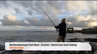 Northumberland Cod Hunt | Craster | North East Cod Fishing #shorefishing#codfishing #northumberland