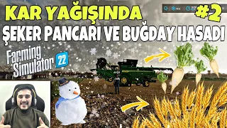 KAR YAĞIŞINDA İLK HASAT! ŞEKER PANCARI VE BUĞDAY HASADI YAPTIK! -FARMING SIMILATOR 2.BÖLÜM