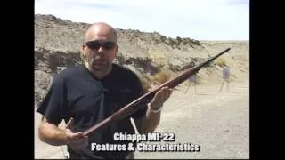 Chiappa M1-22 rifle overview