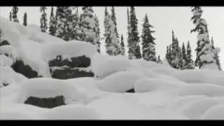 Volcom Stone's Wandering Winterland