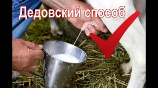 Как подоить козу//Проверенный дедовский способ