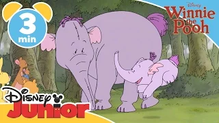 The Mini Adventures of Winnie the Pooh | Hunting Heffalumps | Disney Junior UK