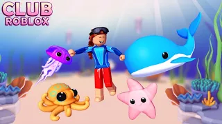 Collect 6 Pearls and adopt Ocean Pets 🐳 OCEAN PETS! Club Roblox 🐳