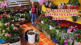 SUSTRATO que prepara Martica la SOLUCIÓN para tus PLANTAS, alimenta tu JARDÍN así, te sorprenderá|AP