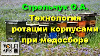 #Стрельчук О.А. Технология ротации корпусами при медосборе