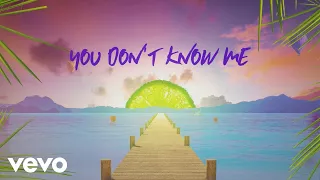 Sigala, Shaun Frank, Flo Rida - You Don't Know Me (Lyric Video) ft. Delaney Jane