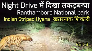 Night Drive में दिखा लकड़बग्घा  | Indian Striped hyena | Ranthambore National Park | Part-3 #hyena