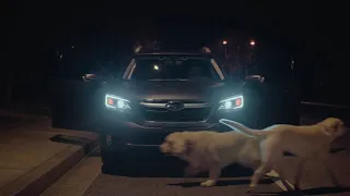 Subaru Dog Tested I Subaru Commercial I Sleepy