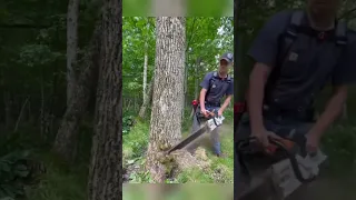 Tree cutting skills .