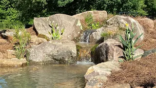 Gorgeous 10 x 15 EcoSystem Pond and Waterfalls