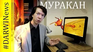 МУРАКАН - чужой мелового периода! Ярослав Попов #DARWINews