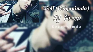 DJ Green - Wolf (Ketganimda)