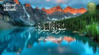 The Holy Quran – 2.  Al Baqarah | Beautiful Recitation by Ahmad Al-Shalabi